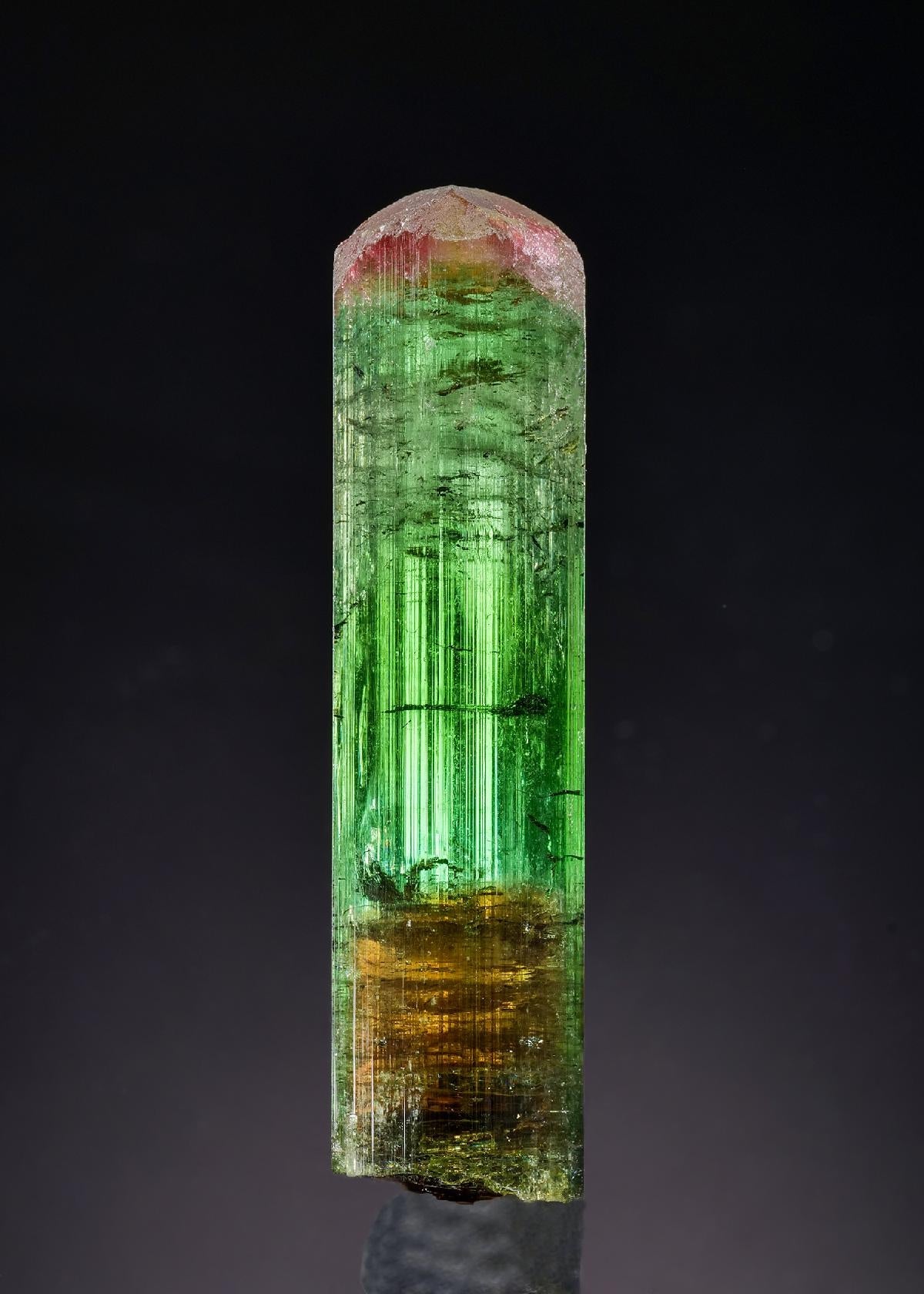 CC58877 specimen image