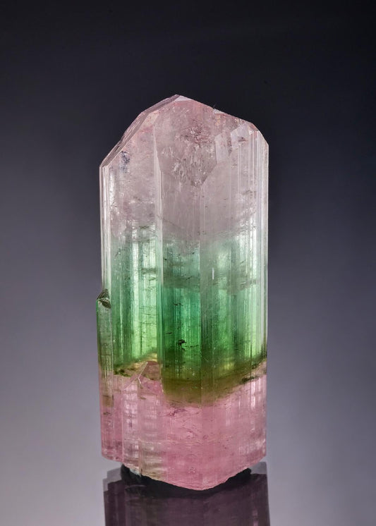 CC58898 specimen image