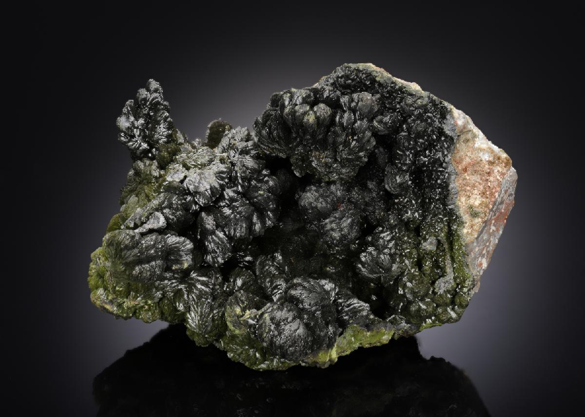 CC5904 specimen image