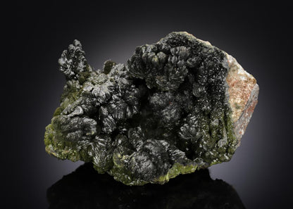 CC5904 specimen image