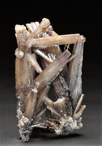 CC5909 specimen image