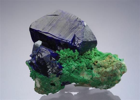 CC5932 specimen image