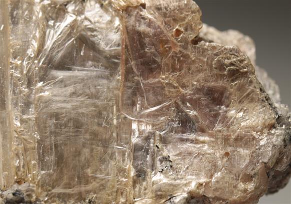 CC5933 specimen image
