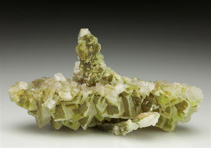 CC5938 specimen image