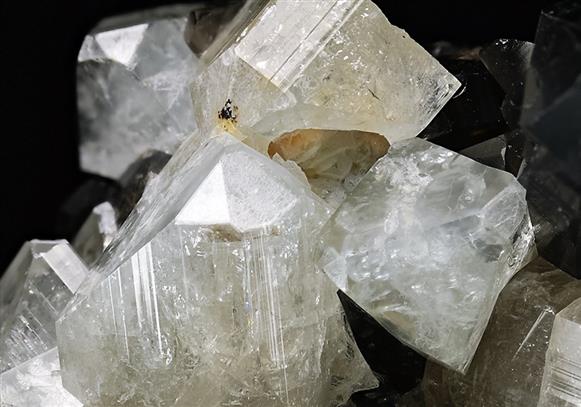 CC5965 specimen image