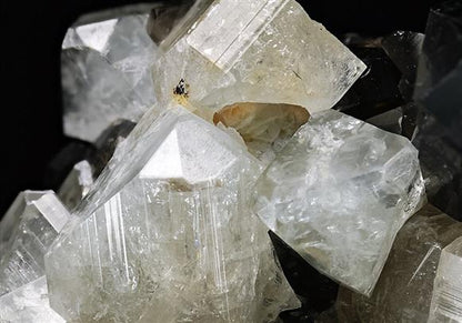 CC5965 specimen image