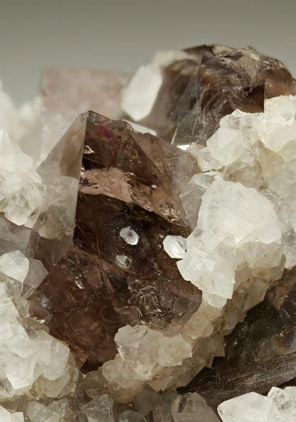 CC5967 specimen image