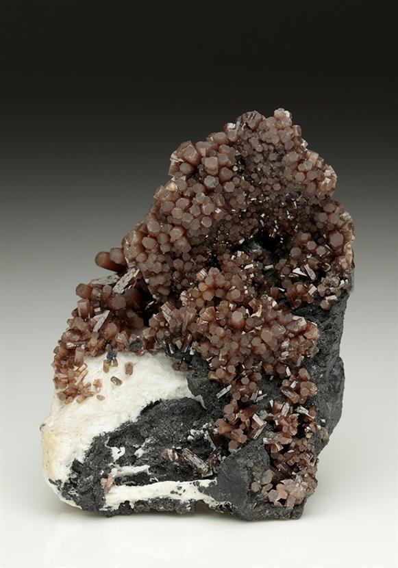 CC5987 specimen image