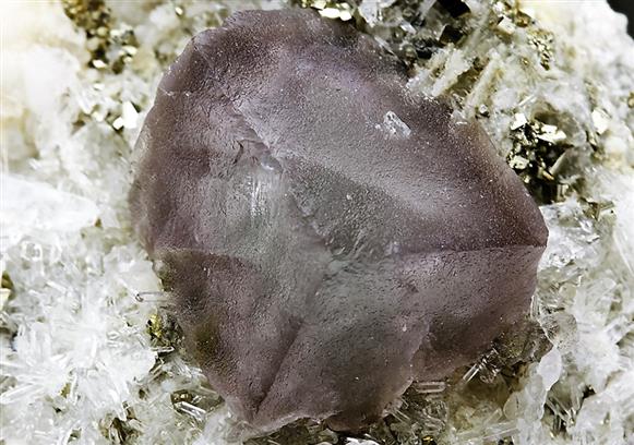 CC6005 specimen image