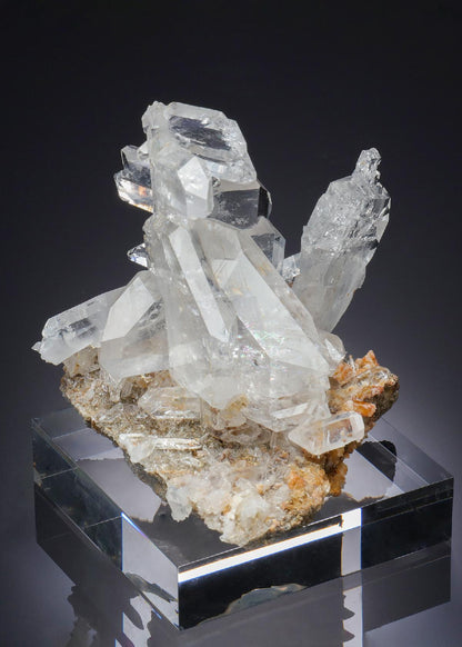 CC60198 specimen image