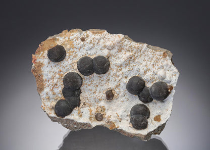 CC6113 specimen image
