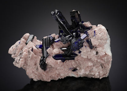 CC6122 specimen image