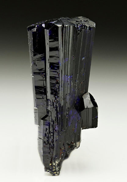 CC6142 specimen image