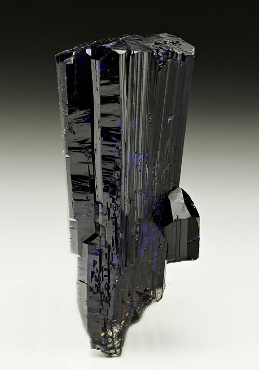 CC6142 specimen image
