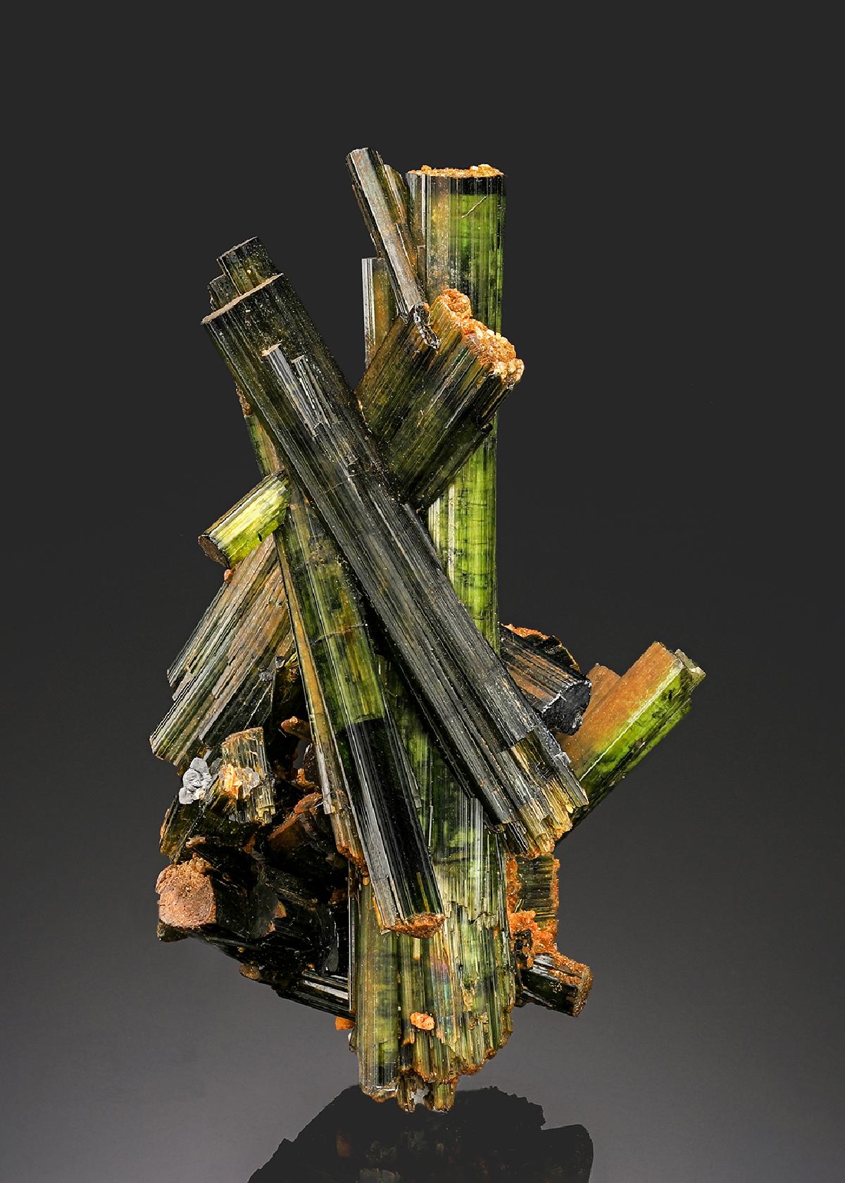CC61512 specimen image