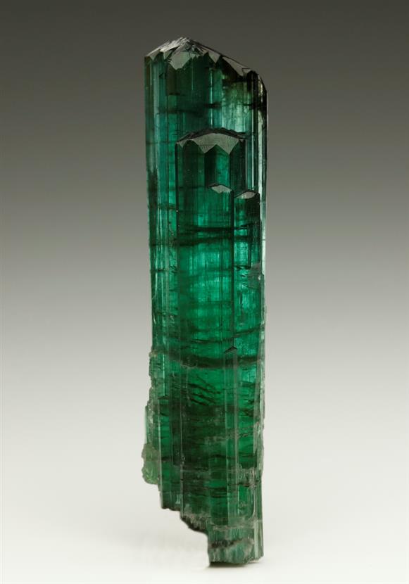 CC6177 specimen image