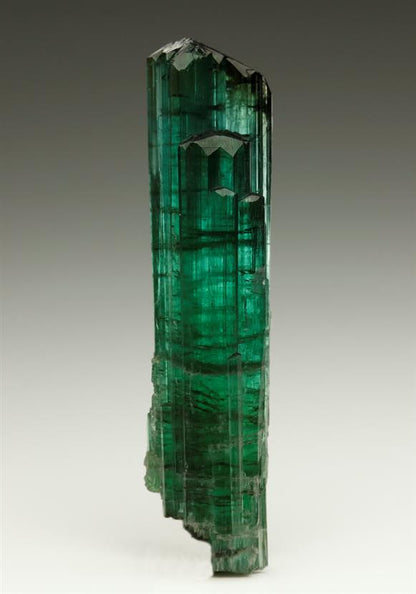 CC6177 specimen image