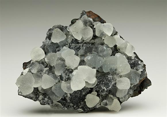 CC6178 specimen image