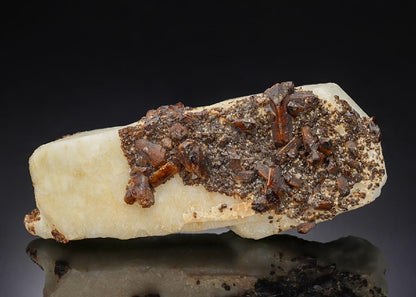 CC6182 specimen image