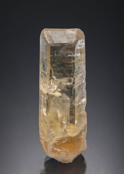 CC6194 specimen image
