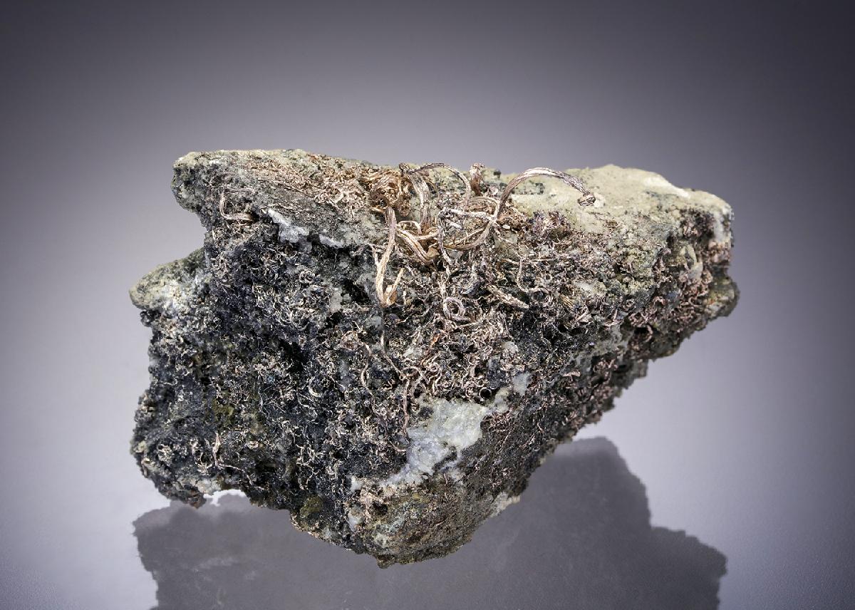 CC61989 specimen image