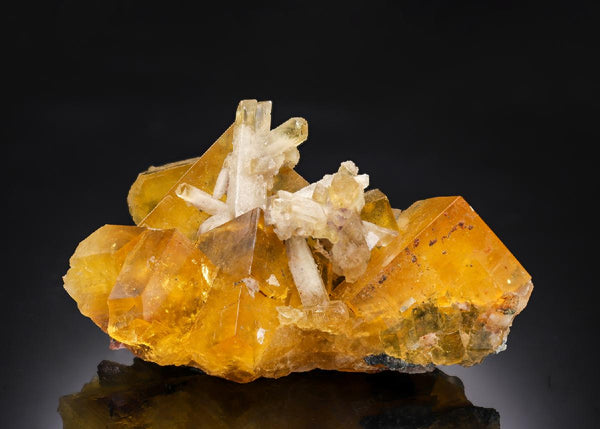CC62016 specimen image