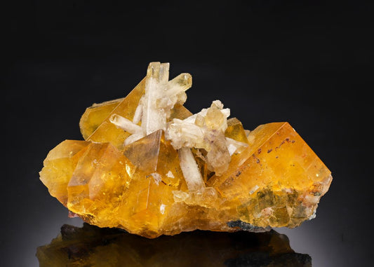 CC62016 specimen image