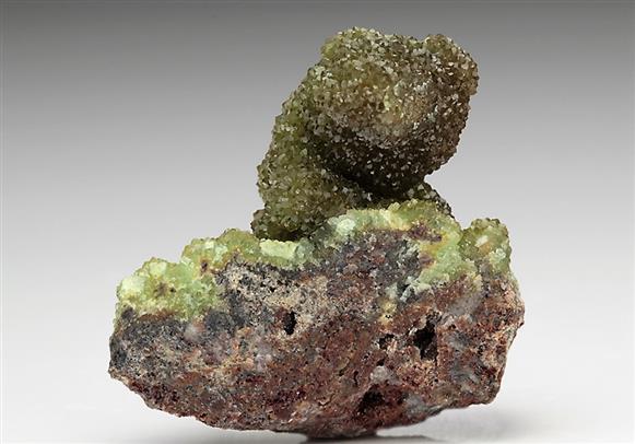 CC6205 specimen image