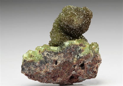 CC6205 specimen image