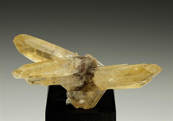 CC6213 specimen image