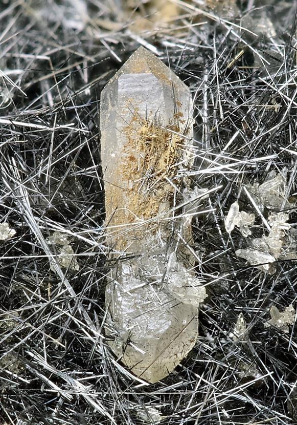 CC6222 specimen image