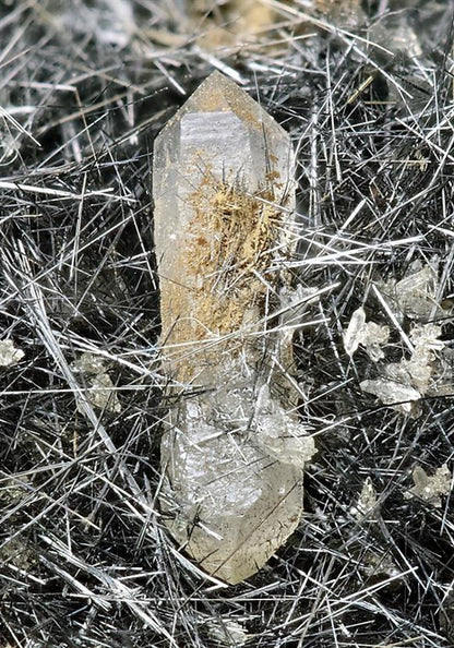 CC6222 specimen image