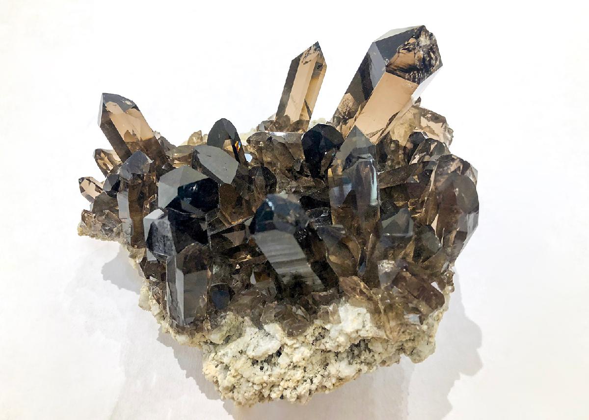 CC62487 specimen image