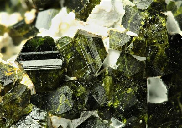CC6251 specimen image