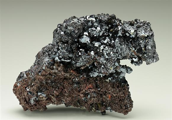 CC6254 specimen image