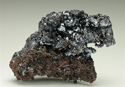 CC6254 specimen image