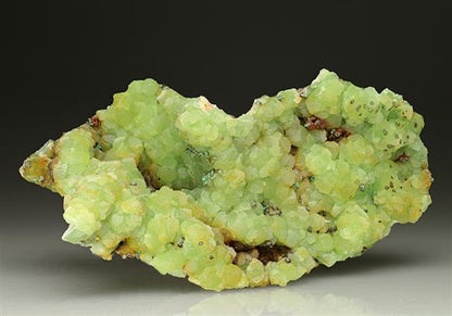 CC6281 specimen image