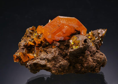 CC62991 specimen image