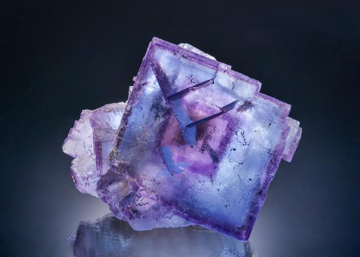 CC63027 specimen image