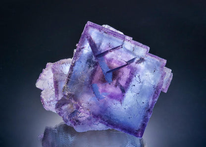 CC63027 specimen image