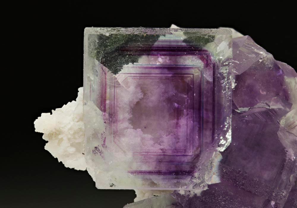 CC6303 specimen image