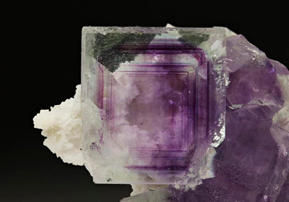 CC6303 specimen image