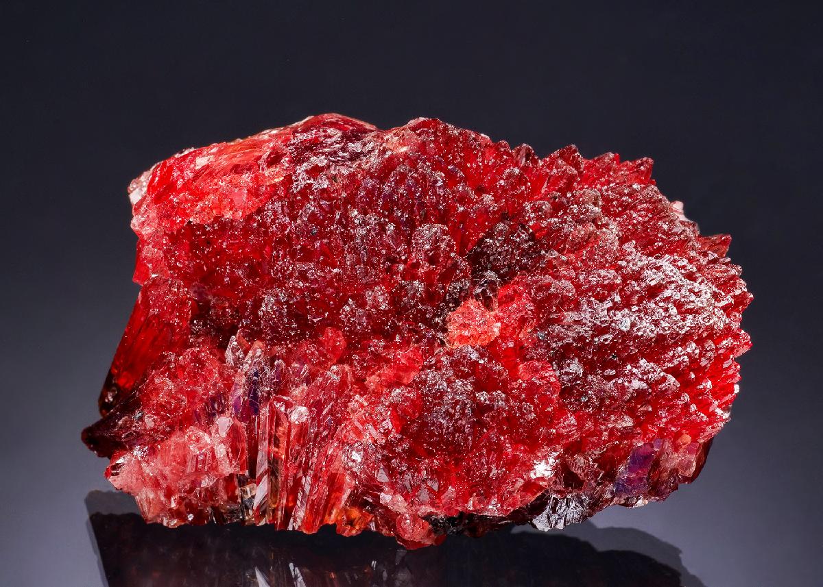 CC63042 specimen image