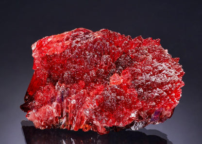 CC63042 specimen image