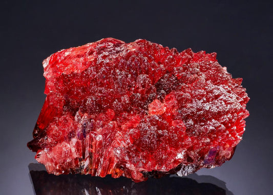 CC63042 specimen image