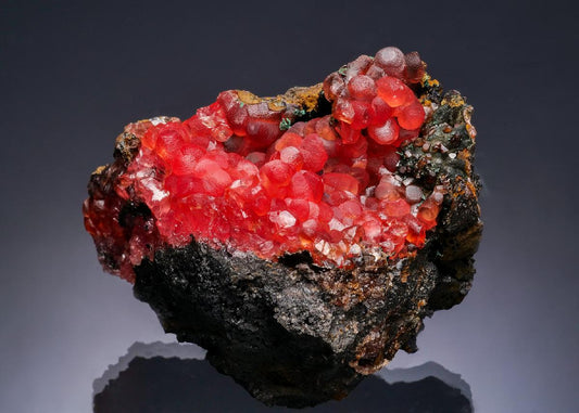 CC63045 specimen image