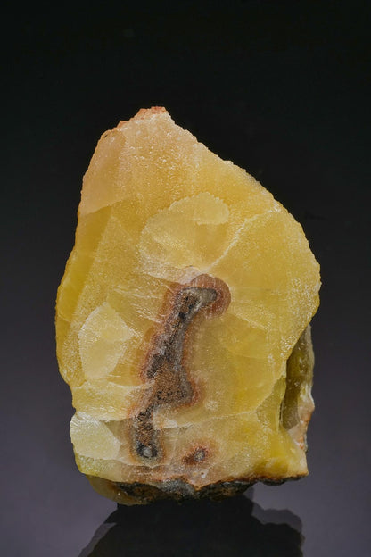 CC63048 specimen image