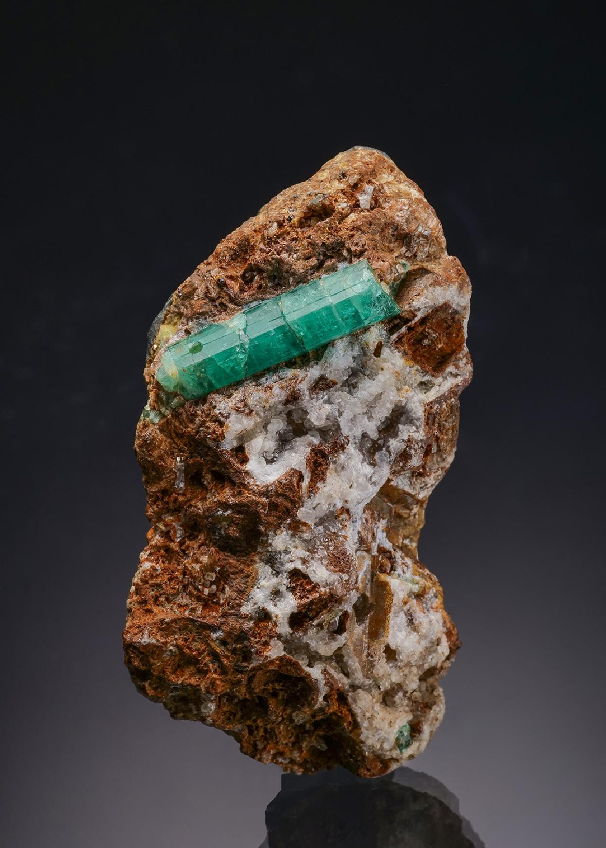 CC63081 specimen image