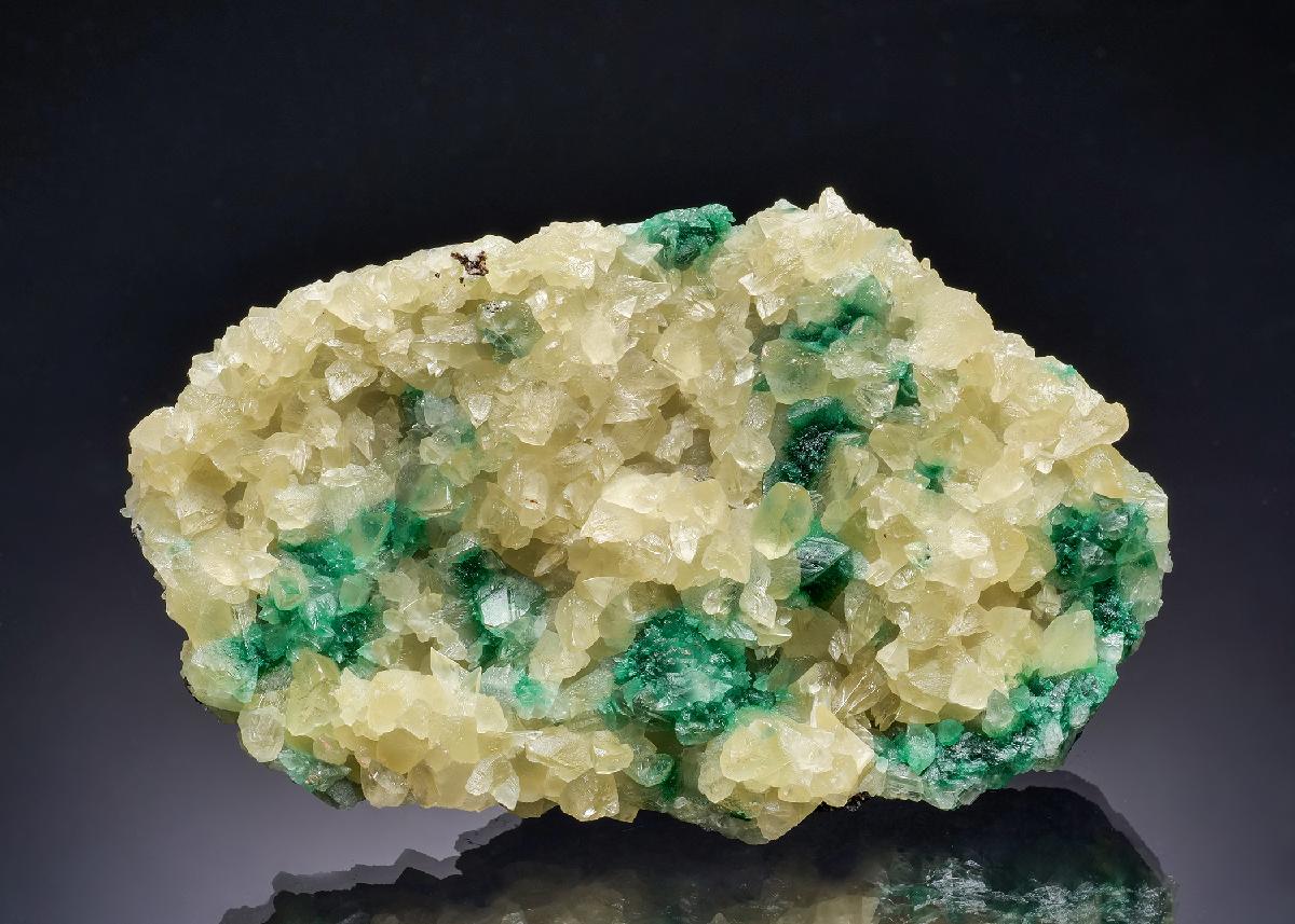 CC63102 specimen image