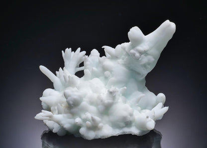 CC63129 specimen image